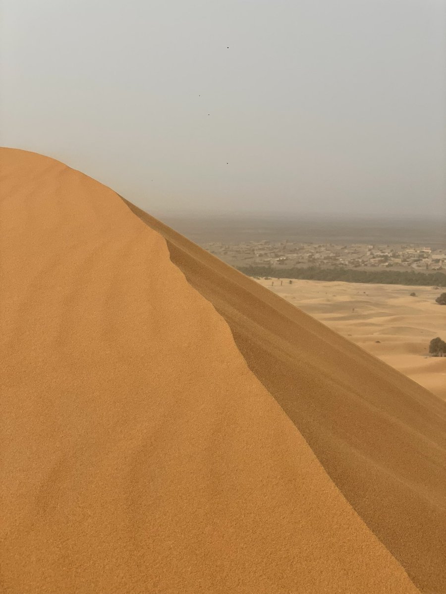 TheManuelHerzog's tweet photo. #HeidelErg on top of a smaller #stardune in the Erg Chebbi. Still active and more coming over the day. Perfect day to experience live #saltation https://t.co/Zz2mHc7xZV