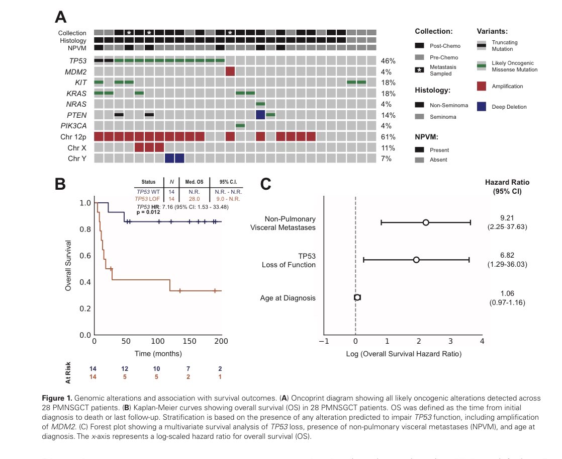 DrYukselUrun's tweet photo. TP53 Alterations Are Associated With Poor Survival in Patients With Primary Mediastinal Nonseminoma Germ Cell Tumors that could explain the poor outcomes of PMNSGCT patients, most likely through poor sensitivity to cisplatin!
@OncoAlert @OncJournal @ASCO 
https://t.co/WTviEGDcNh https://t.co/wMKTekynkx