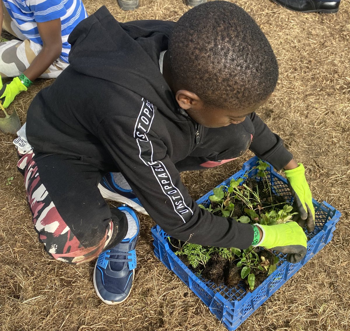 TheGreenJeanie's tweet photo. What an amazing day @ourcommunity19 in #Kingsmeadow #SistonCommon yesterday! Taking #actionforpollinators planting #wildflowers in the meadow! So inspiring to see the families &amp; community creating forage for #pollinators! #beeboldawards #beebold Conjures #HOPE 10k plug plants 🐝 https://t.co/S2aWb1Ksdw