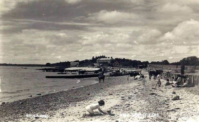 Carole Cooper Remembers (part 3)
In the final part of this 2016 interview, Carole describes the former unfenced Forest landscape and the impact of uncontrolled vehicle access on New Forest animals.
Click for audio and transcript: 
nfknowledge.org/contributions/…