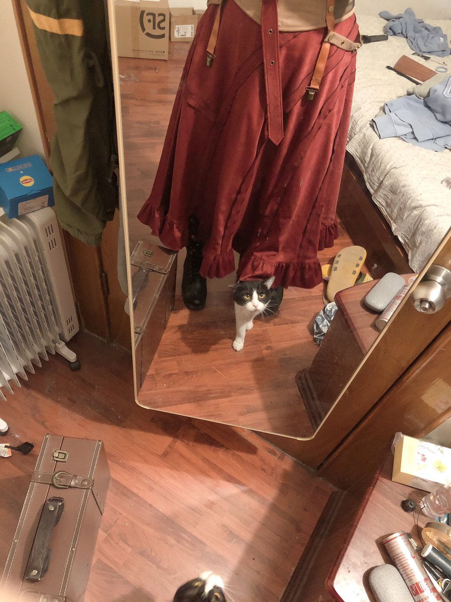 我是海盗，有一只叫做【急拔锚】的宠物猫。那么，
准备好了吗孩子们！