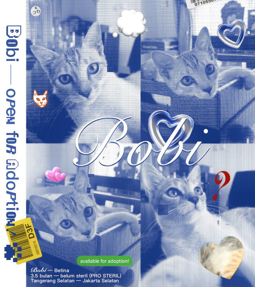 rmcherrie's tweet photo. hii ๐ please help RT & like to help BOBI find her furrever home! ๐ญ๐ก๐
๐ Tangerang Selatan โ Jakarta Selatan
๐งบ Wajib membawa pet cargo saat pick up
๐งฉ DM to @rmcherrie
Alasan open adopsi: di rumah sudah terlalu banyak kucing ๐โโฌ๐๐โโฌ๐
#adopsikucing #openadopsi #openadopt https://t.co/qWwKtz5AJj