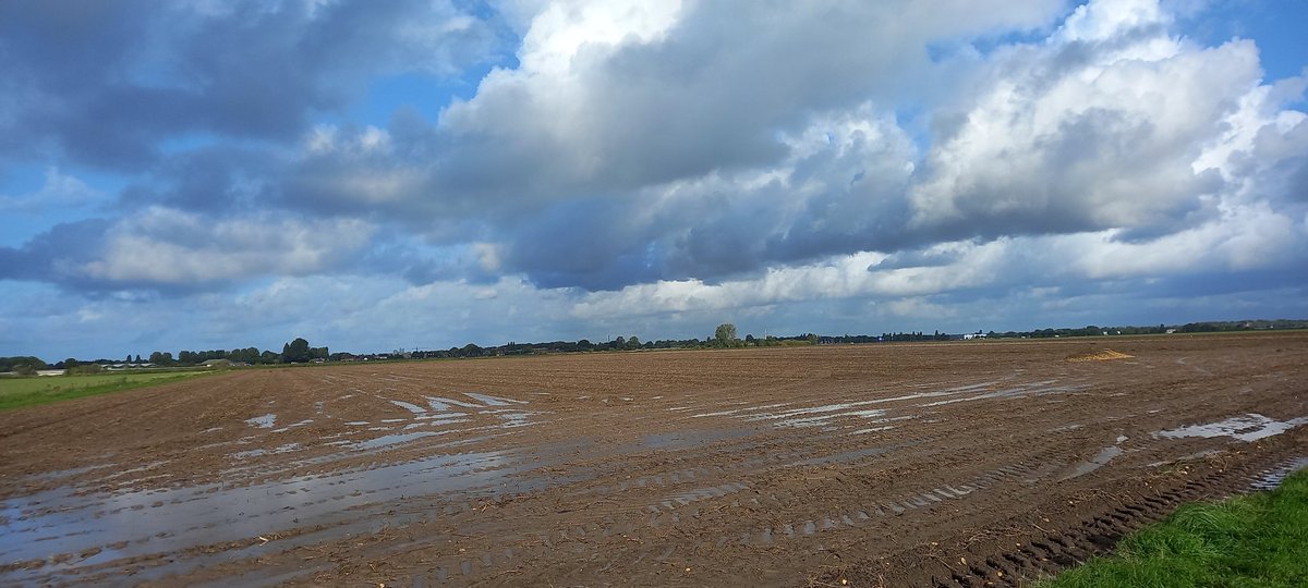 Novifarm tweet media