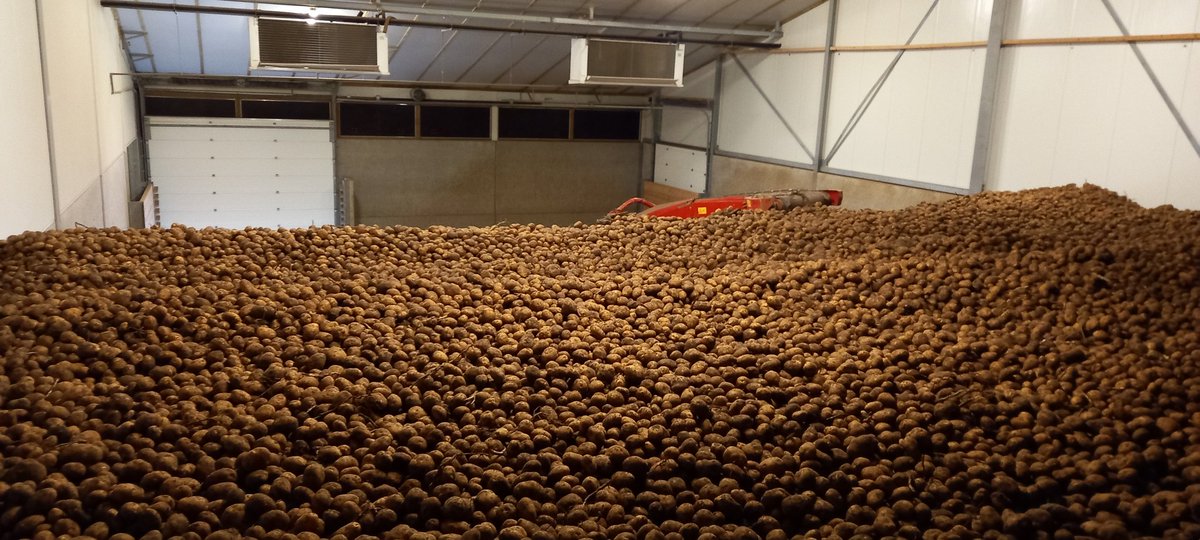 Novifarm tweet media