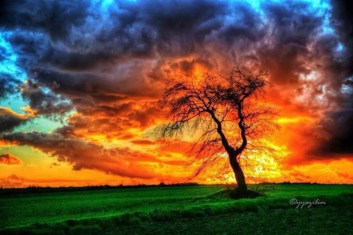 #EagleOfIslam 

When I have a terrible need of - shall I say the word - religion. Then I go out and paint the stars.
-Vincent Van Gogh