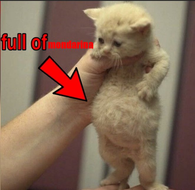 La mejor época del año está aquí