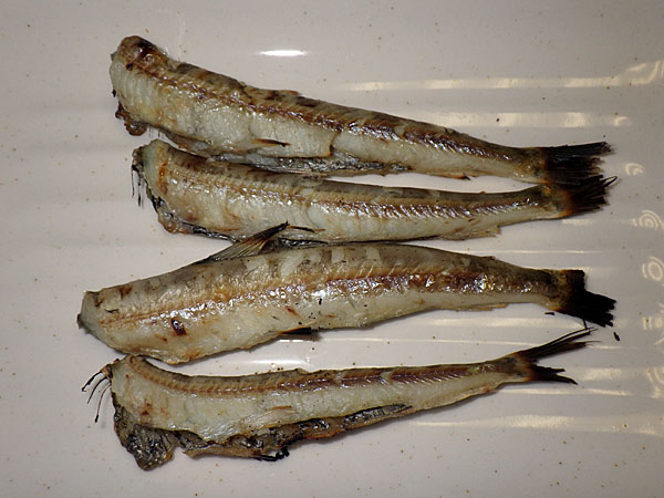 ニギス Lang Ja Busqueda De Twitter Twitter