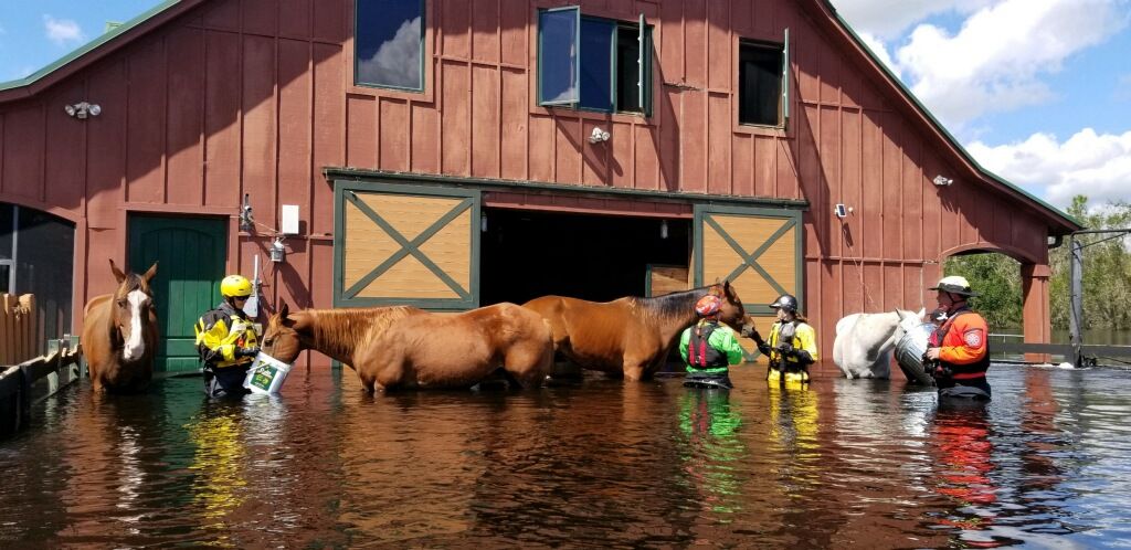 “There is no safe place.” @AmericanHumane President @RobinGanzert says the organization’s goal is to save as many animals affected by Hurricane Ian as possible, but the effort may take years after such a large-scale devastating storm. https://t.co/jnWu50RS3G 