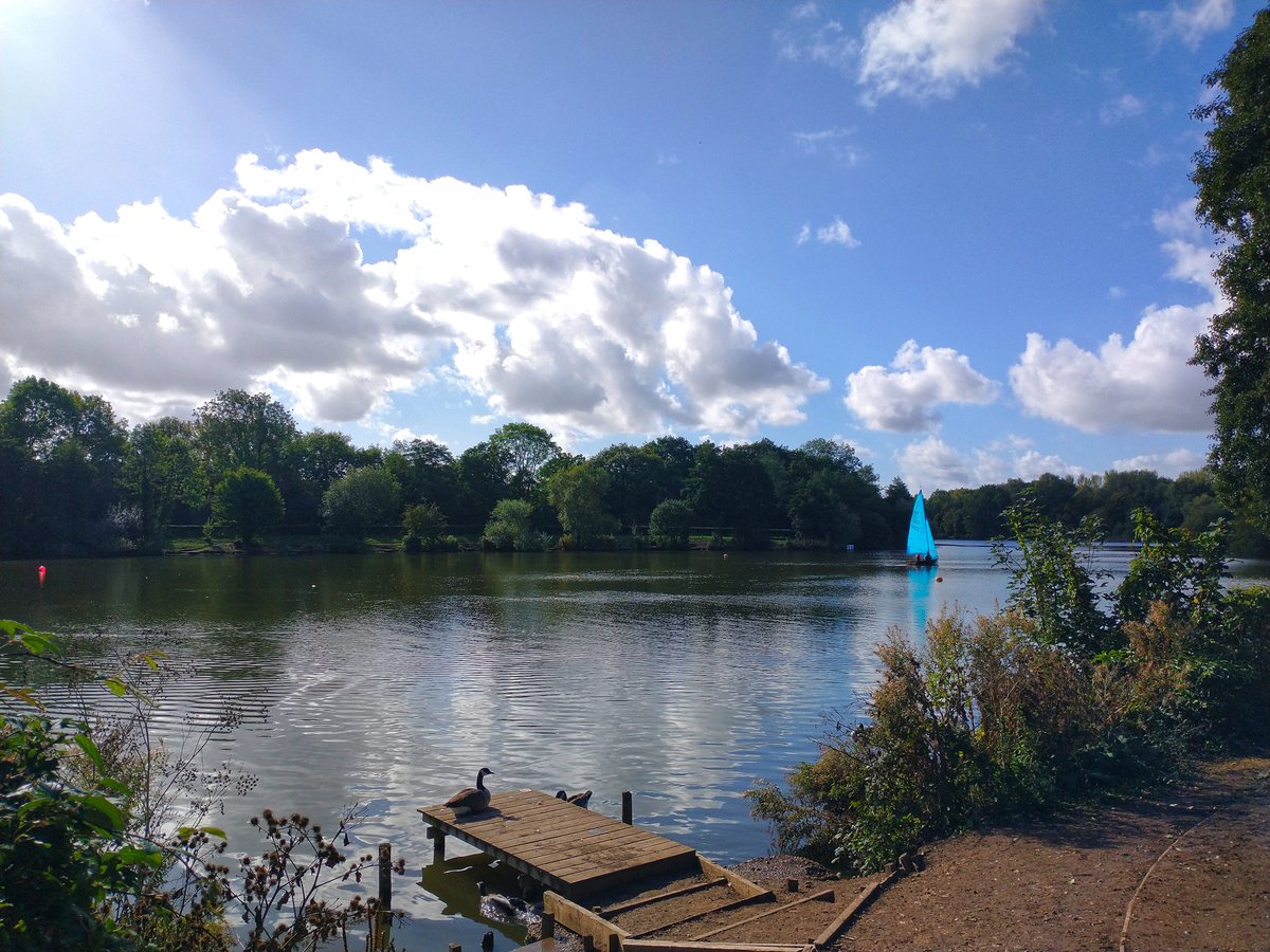 Beautiful at the lake today.