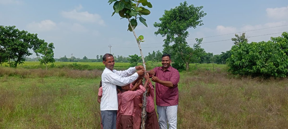 *🌳#प्रकृति_मित्र, #nature_friend🌳*
Name- Dharam Singh
Designation: IHT
Address: PS BAIRAGIPURVA
<a href="/shikshansamvad/">मिशन शिक्षण संवाद @shikshansamvad</a>
<a href="/RedTapeMovement/">Red Tape Movement 🌳</a> 
<a href="/teachersclubup/">teachers club</a> <a href="/UNEP/">UN Environment Programme</a> <a href="/UNBiodiversity/">UN Biodiversity</a> <a href="/ipbes/">ipbes</a> <a href="/eriksolheim/">Erik Solheim</a> <a href="/dharamuppss/">DHARAM SINGH UPPSS</a>
साभार : मिशन शिक्षण संवाद प्रकृति मित्र परिवार