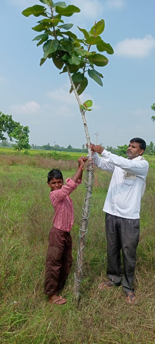 *🌳#प्रकृति_मित्र, #nature_friend🌳*
Name- ANIL KUMAR
Designation: SHIKSHAMITRA
Address: PS BAIRAGIPURWA
<a href="/shikshansamvad/">मिशन शिक्षण संवाद @shikshansamvad</a>
<a href="/RedTapeMovement/">Red Tape Movement 🌳</a> 
<a href="/teachersclubup/">teachers club</a> <a href="/UNEP/">UN Environment Programme</a> <a href="/UNBiodiversity/">UN Biodiversity</a> <a href="/ipbes/">ipbes</a> <a href="/eriksolheim/">Erik Solheim</a> 
साभार : मिशन शिक्षण संवाद प्रकृति मित्र परिवार