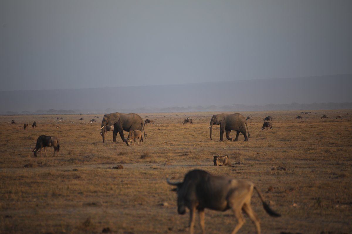 VoyagesAfriq's tweet image. #VoyagesAfriq Kenya continues to thrill international buyers and media currently on a familiarization Tour of @magicalkenya as part of activities marking the return of @MKTravelExpo #MKTE22 #MKTE #RediscovertheMagic