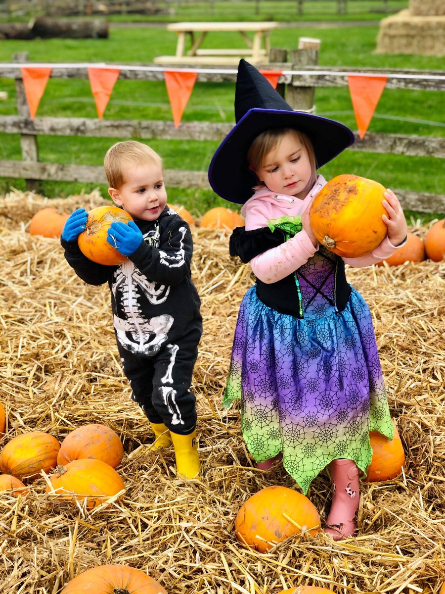 WCTFarm's tweet photo. Halloween family fun at the farm 🎃  See our website for more details - tickets for our Spooky Pumpkin Hunt are on sale now! https://t.co/c4Cqbfo4Eh https://t.co/o6w0VFREll