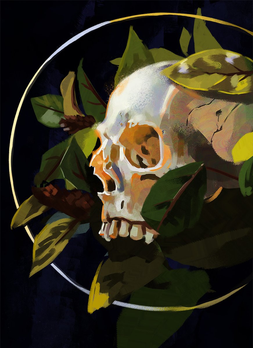 「skull sketch study 」|Nikki ✨のイラスト