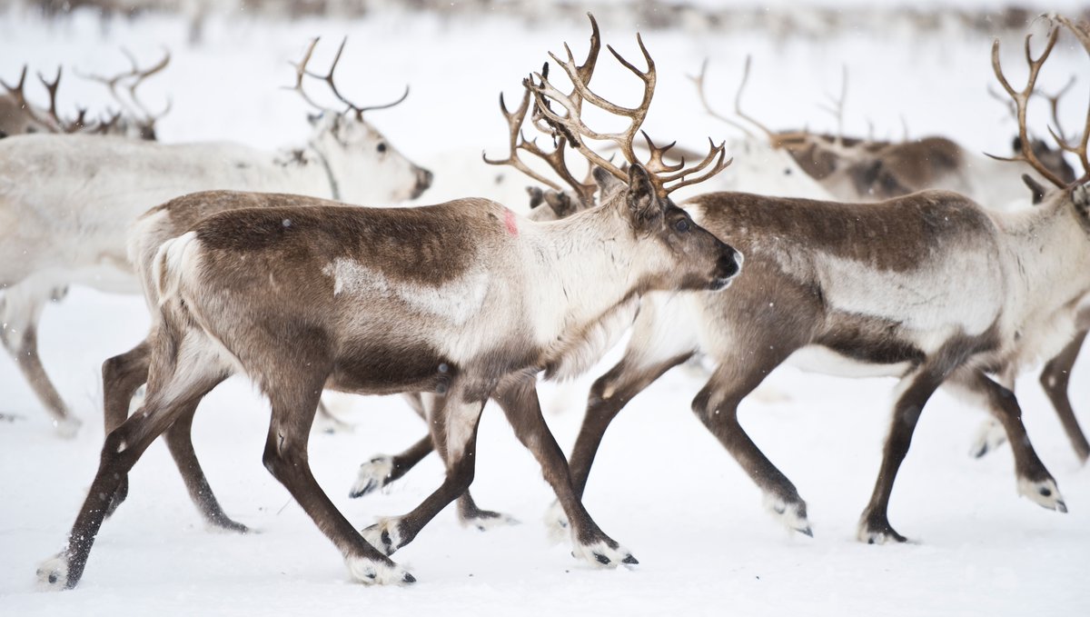 To everyone taking part in the London Marathon today, we wish you good luck!