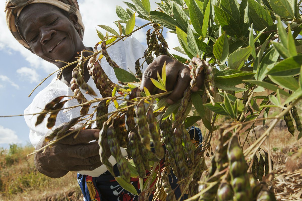 If we continue to lose biodiversity, the 🌏’s most vulnerable people will not be able to adapt to #ClimateChange nor sustainably produce food.

Development investments must take nature into account.