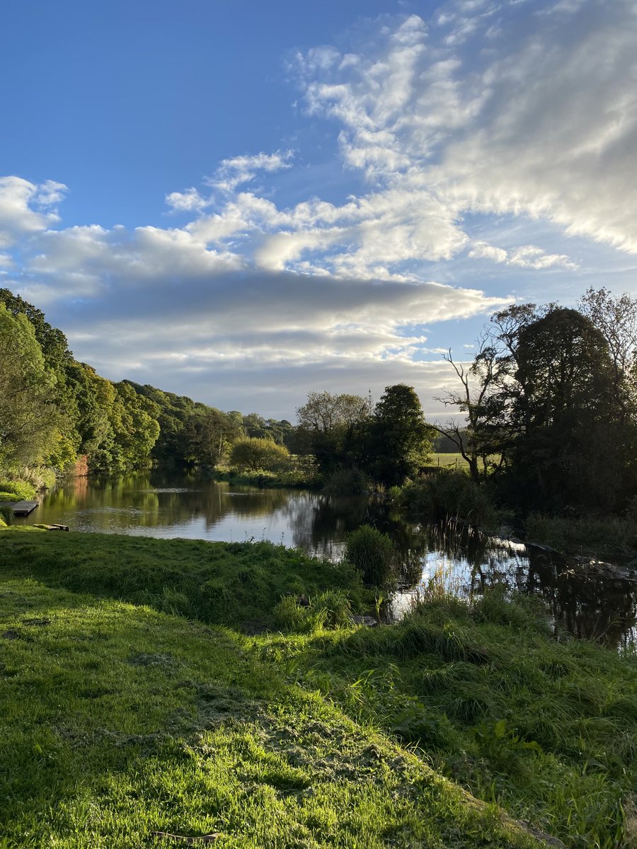 SusanEMcCabe's tweet photo. Ebchester this afternoon 😊 https://t.co/UIn6VrIGdu