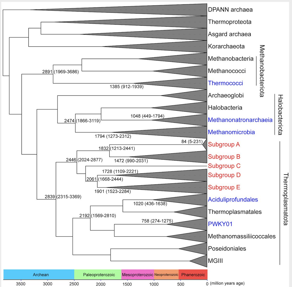 Please check our new paper: An ancient respiratory system in the widespread sedimentary archaea Thermoprofundales pubmed.ncbi.nlm.nih.gov/36181435/