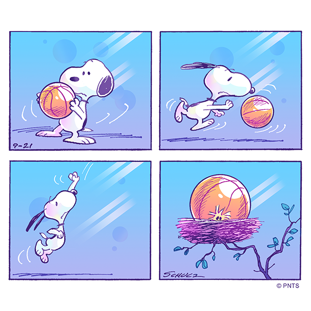 Snoopy's tweet photo. Nothin' but nest 🏀 https://t.co/OlTOPZ9Rky