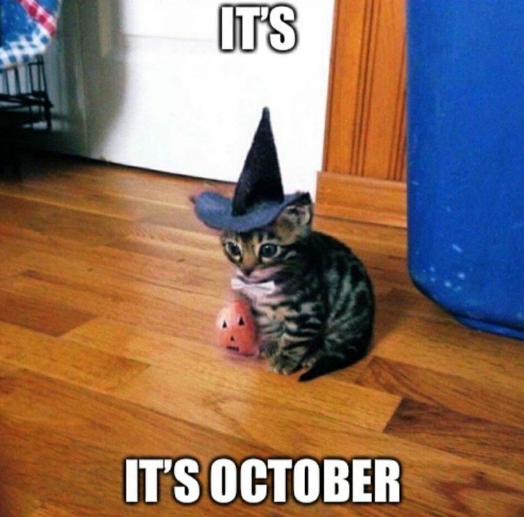 Lolo (@pv4__) on Twitter photo 