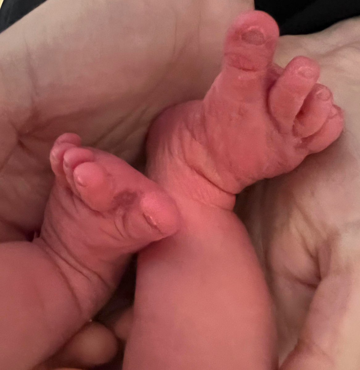 So at 23.06 on Friday night our little family got a little bit bigger. Hatch is going to be closed for two more weeks for us to get to know our new arrival. All being well we should be reopening on Monday the 17th. Keeps an eye on our socials for updates.