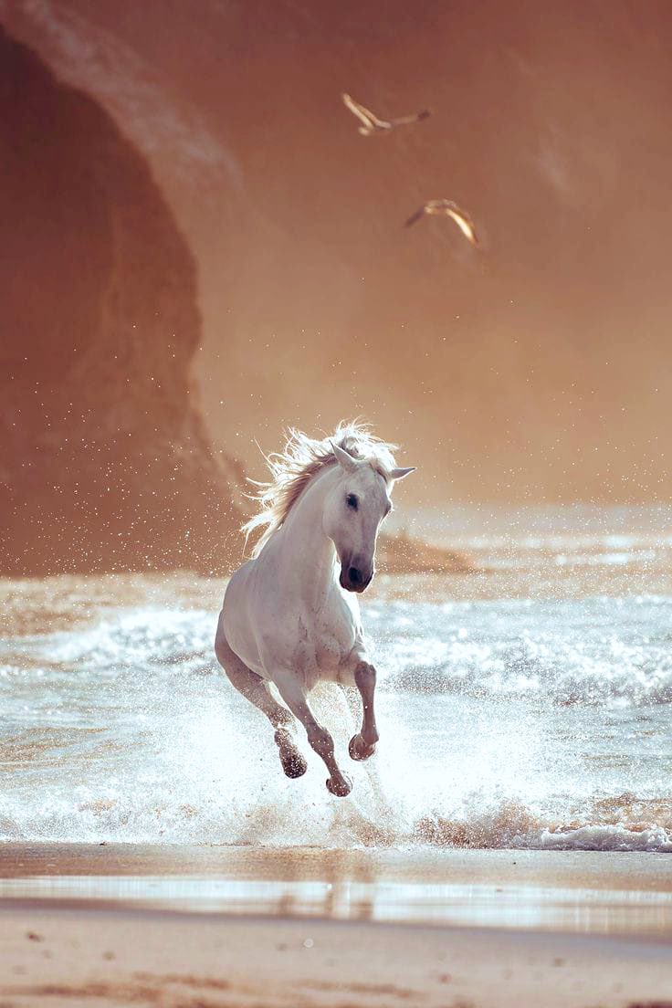 ᗰIᗩ ☆(*˘︶˘*)｡.:*❤️🌹♒️ (@mia31370841) on Twitter photo 