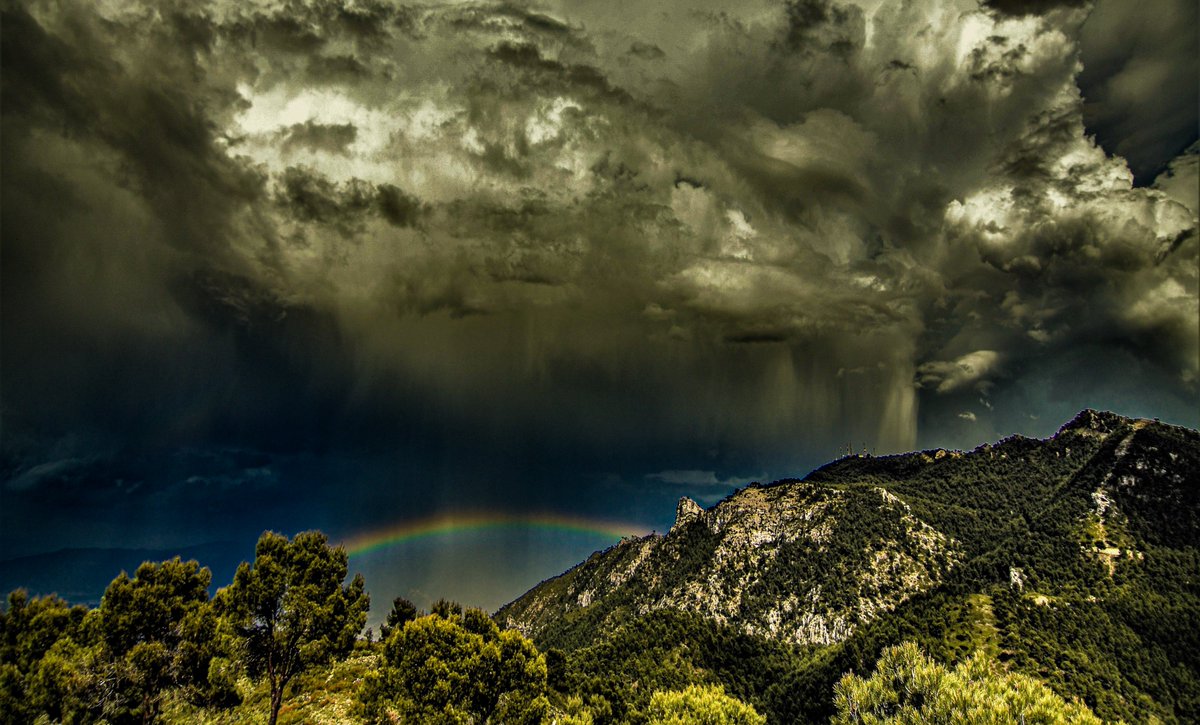 josemmol's tweet photo. RECOPILATORIO TORMENTAS SURESTE 
SEPTIMA entrega

13.20200512 LOS RODEOS.Murcia
14.20200730 – TORMENTA entre CALASPARRA #Murcia FEREZ en #Albacete
15.20210428 TORMENTAS SIERRA DE RICOTE
16.20210825  -- SURESTE . Peñas de S.PEDRO #Albacete- Tormenta

fotos JM.Serna https://t.co/3KyEyxISZh