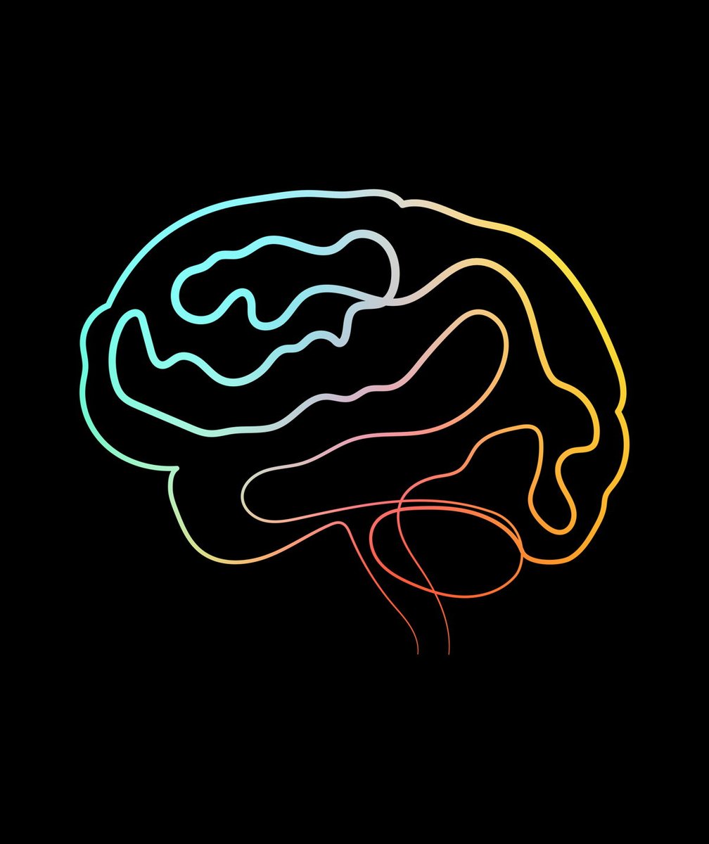 Human Body Anatomy tweet media