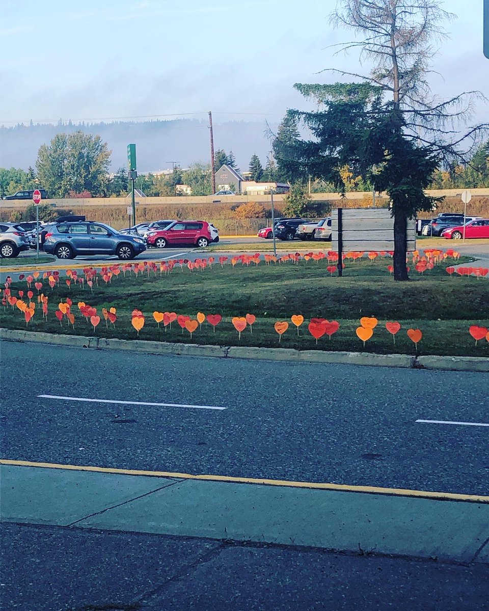 Tara Basran (Kurucz) tweet media