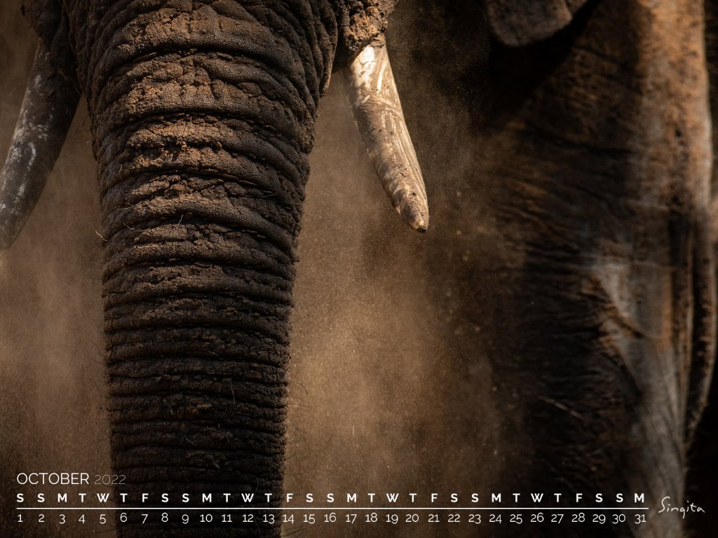 Singita_'s tweet photo. Download your Singita desktop calendar for October here: https://t.co/xPXz85nYpH https://t.co/9s1LutVSel