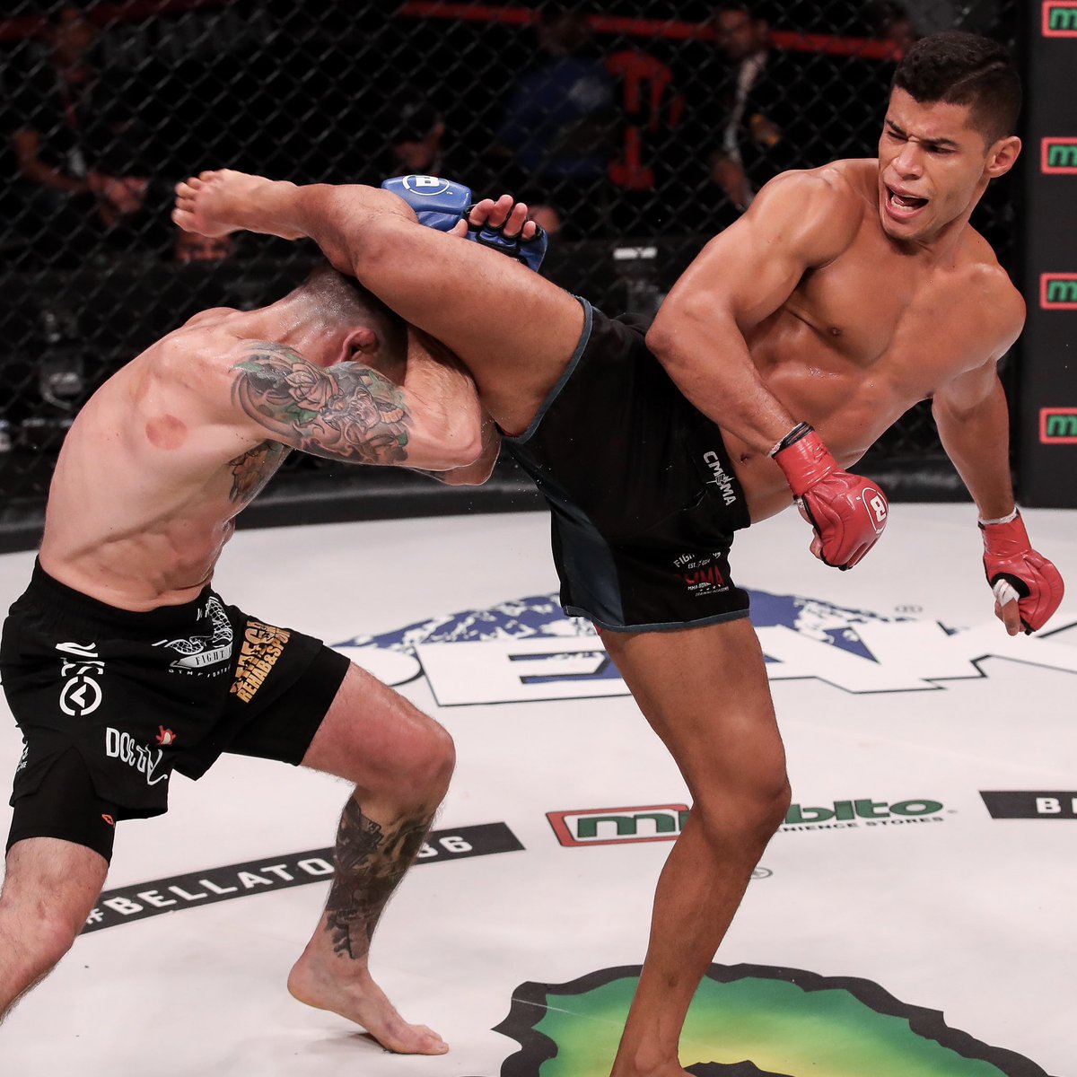 Bellator MMA tweet media