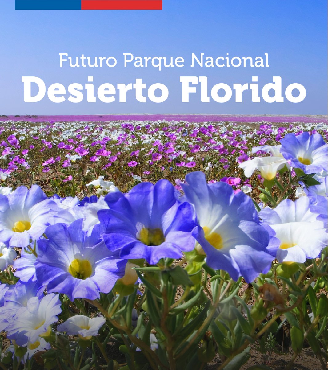 Ministerio del Medio Ambiente tweet media