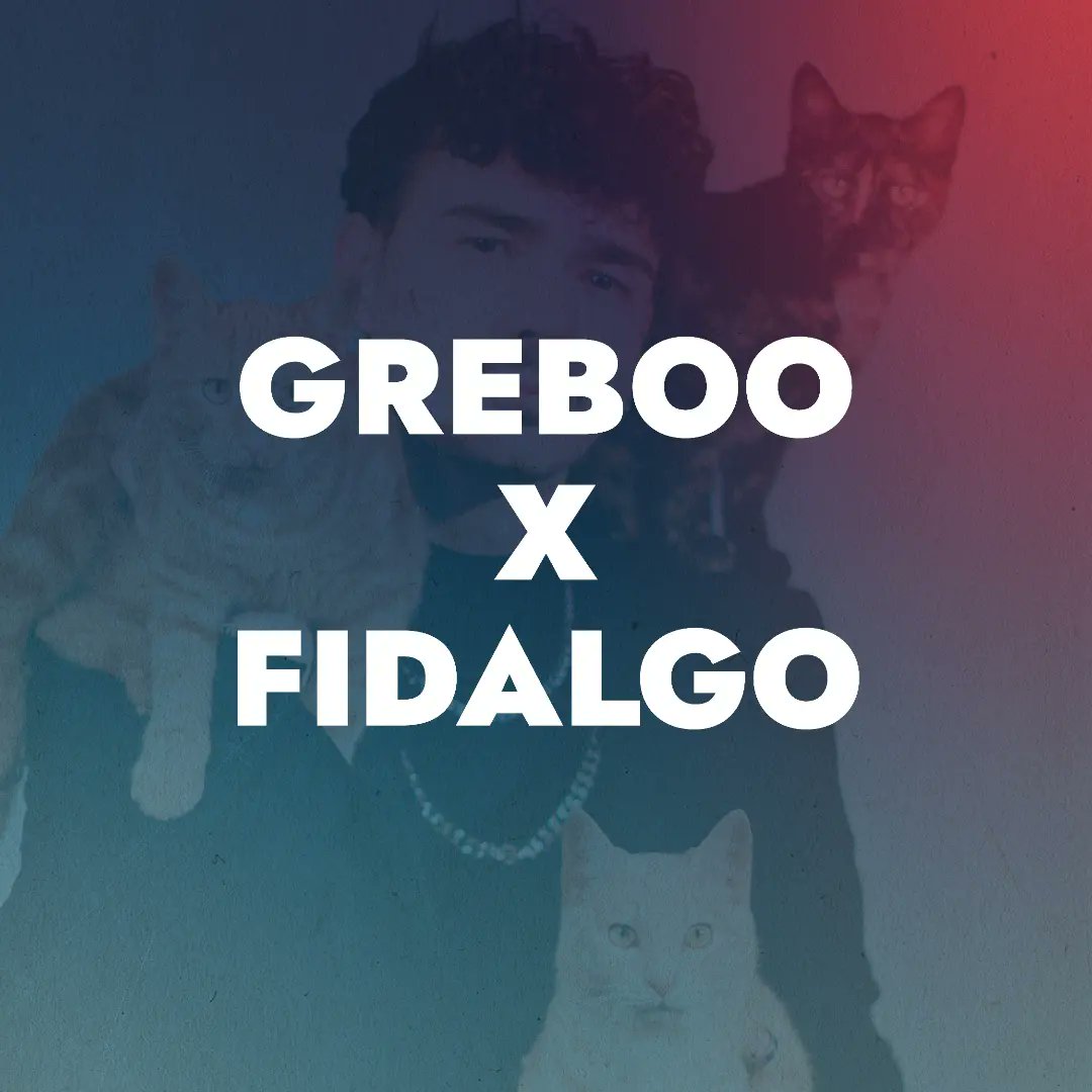 _phnmn's tweet image. 2/2 

Et on continue avec les artistes électro du samedi 8/10 de 21H à 3H 🔥  

Retrouvez les bios de Greboo X Fidalgo et Angle Mort et Clignotant sur nos pages Facebook et Instagram 📱 

Billetterie 🎟 frequences.phnmn.fr