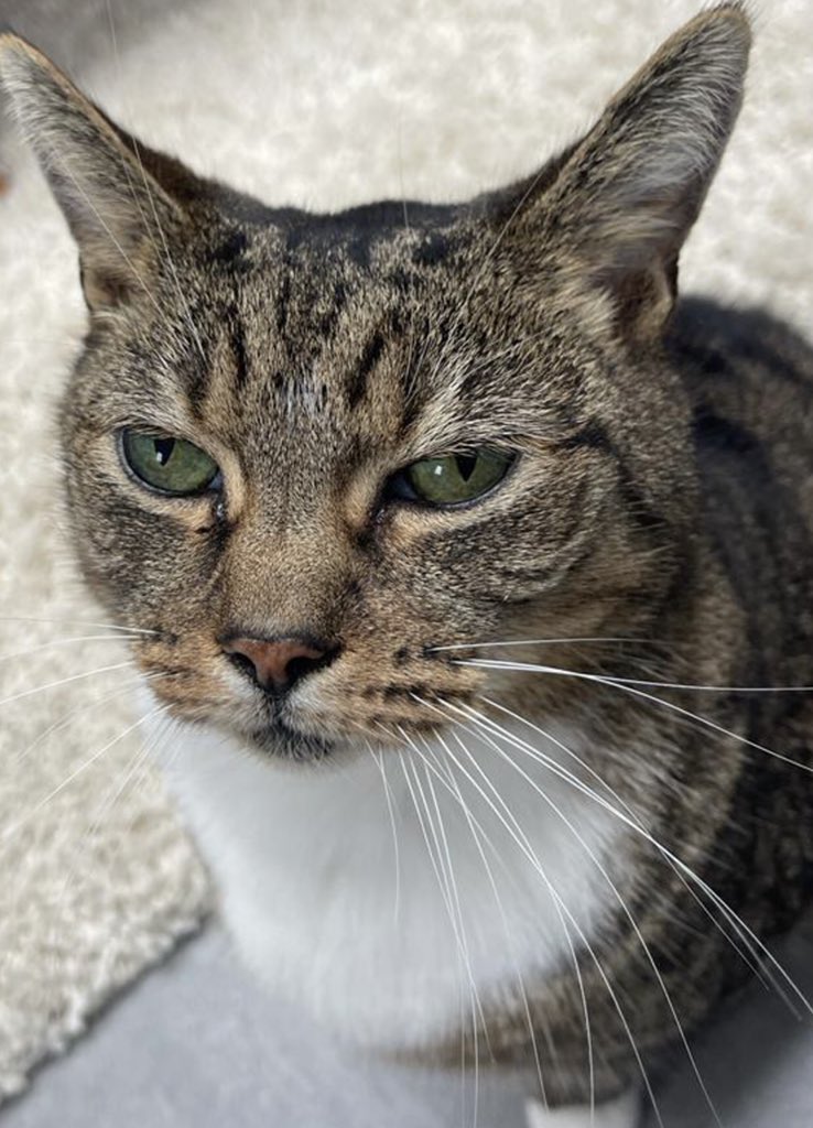 Still feeling a little sleepy Mummy.