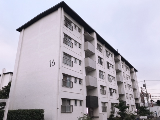 mottari00008's tweet photo. この間に行っていた団地その③「竹ノ塚団地」
大好き！実はお気に入りで２回行きました！
下層が商店街になっている団地、少し離れると通常のフラットな団地群もありとにかく行って楽しい。 https://t.co/rvt2bgbf9z