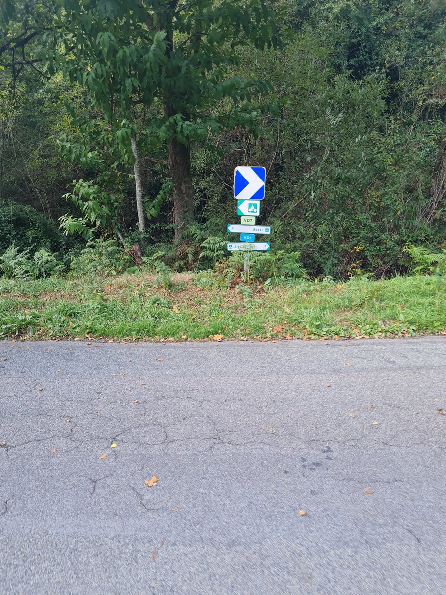ludovelododo's tweet photo. J'ai laissé brouter faire la trace.
J'ai juste bougé 2-3 route trop directe donc sûrement roulante.
Je vois plusieurs panneaux rando vélo.
A priori je suis sur le circuit de Renac.
Si c'est ça, elle est cool
#ludorando https://t.co/EwPuSU7IiJ