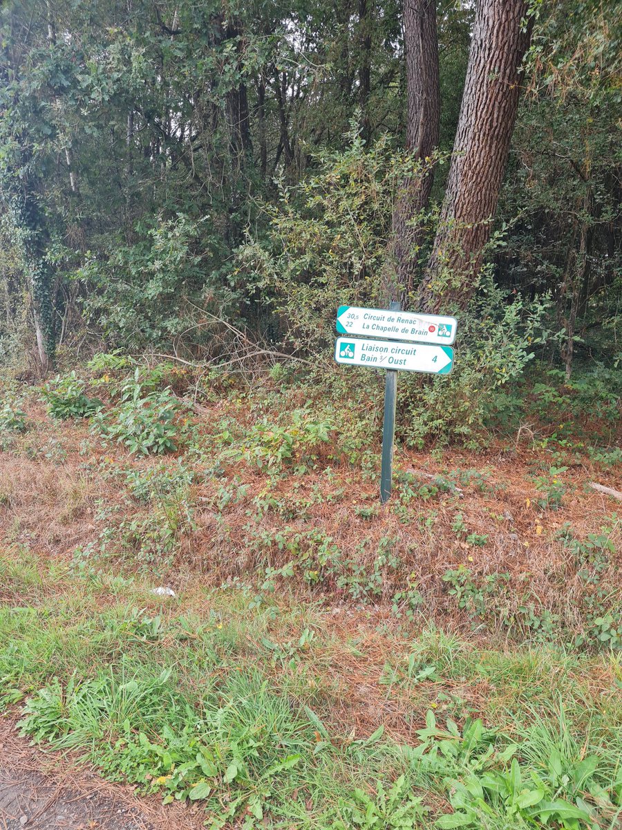 ludovelododo's tweet photo. J'ai laissé brouter faire la trace.
J'ai juste bougé 2-3 route trop directe donc sûrement roulante.
Je vois plusieurs panneaux rando vélo.
A priori je suis sur le circuit de Renac.
Si c'est ça, elle est cool
#ludorando https://t.co/EwPuSU7IiJ