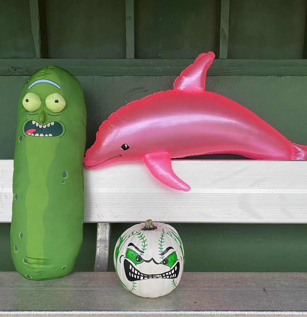 ctfurybaseball's tweet photo. Itโs October and Fury pumpkin is back! Pink Dolphin also has made a return! This time with a new friend, Pickle! #CTFuryBaseball #FuryFam โพ๏ธ๐ https://t.co/kRVvykyh8J