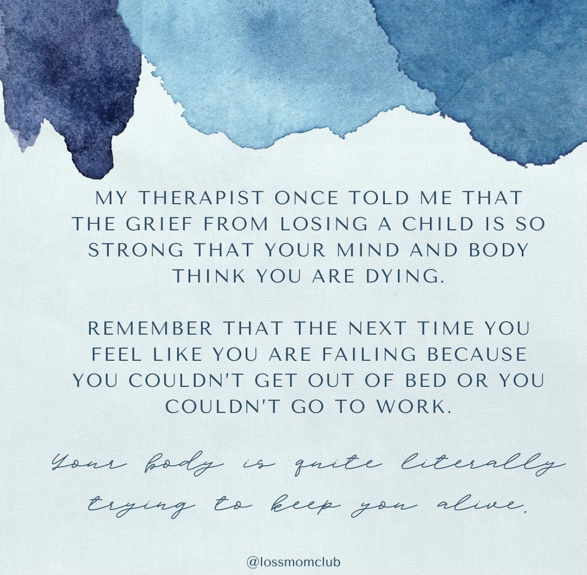 Shannon Adams tweet media