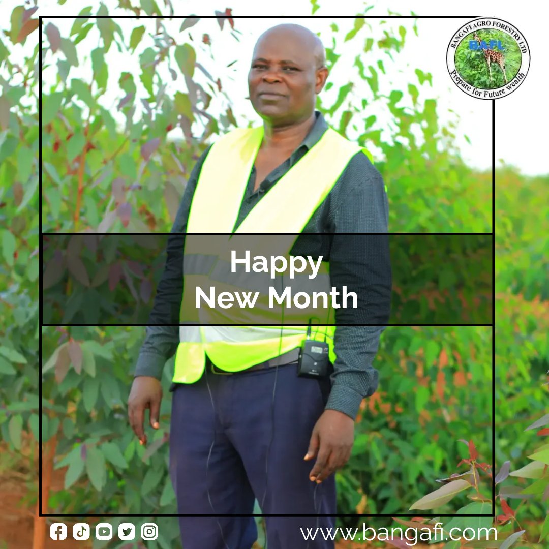 BangafiForestry's tweet photo. From ours to you.
Happy new month.
#Bangafi
#Agroforestry
#Prepare
#future https://t.co/7zZqi6oGve