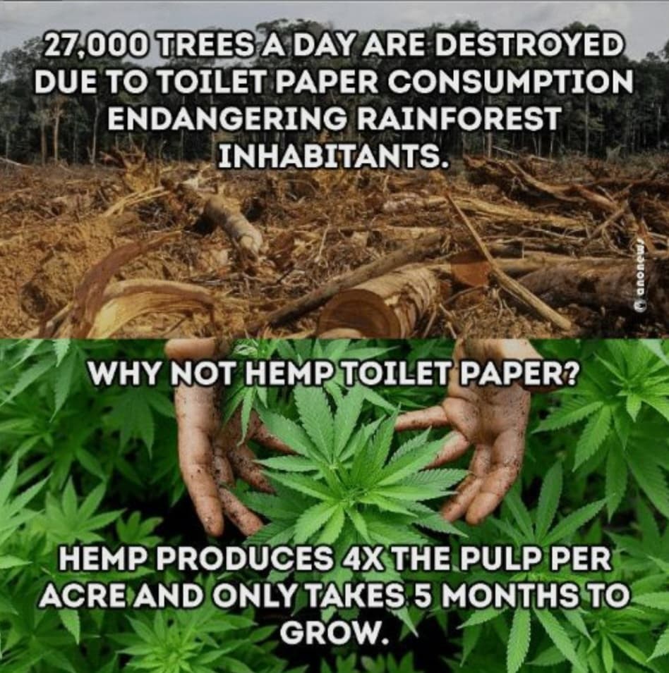 CryptoJunky95's tweet photo. Save The Trees! Choose Hemp 💚

#cbd #cbdelicious #cbdeliciousness #cbdthoughts #cbdoil #cbdmovement #cbdhealth #cbdbenefits #cbduk #cbdinfo #Hemp #hemplife #savethetrees https://t.co/YuZEKBC4r3