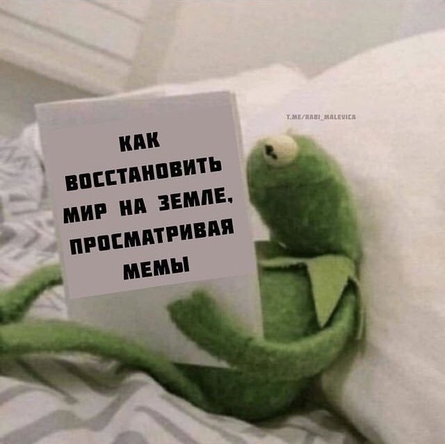 парашутик tweet media