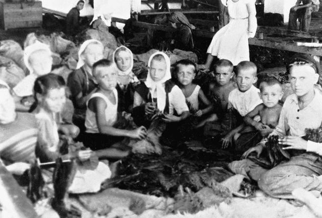 KittyMiau16's tweet photo. "Für den Hamburger Tabakkonzern #Reemtsma arbeiteten im Zweiten Weltkrieg auf der Halbinsel #Krim im Schwarzen Meer Tausende #Ukrainer - darunter auch etliche #Kinder." #LuiSSa
@MelnykAndrij @ZelenskyyUa @MFA_Ukraine
https://t.co/KApon9e5c4 https://t.co/l0bAbjVEdL
