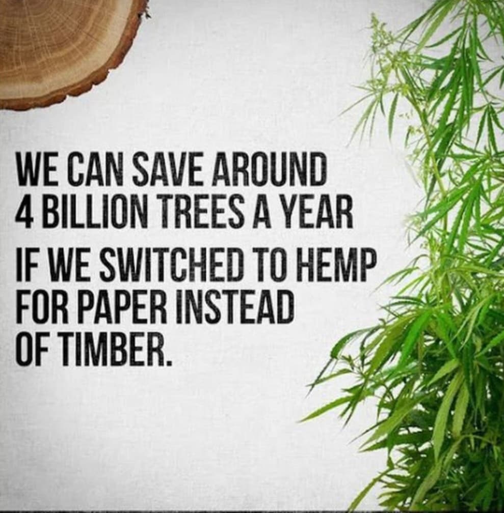 CryptoJunky95's tweet photo. Save The Trees! Choose Hemp 💚

#cbd #cbdelicious #cbdeliciousness #cbdthoughts #cbdoil #cbdmovement #cbdhealth #cbdbenefits #cbduk #cbdinfo #Hemp #hemplife #savethetrees https://t.co/YuZEKBC4r3