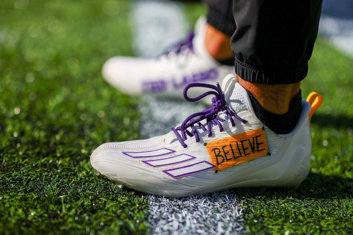 Minnesota Vikings tweet media