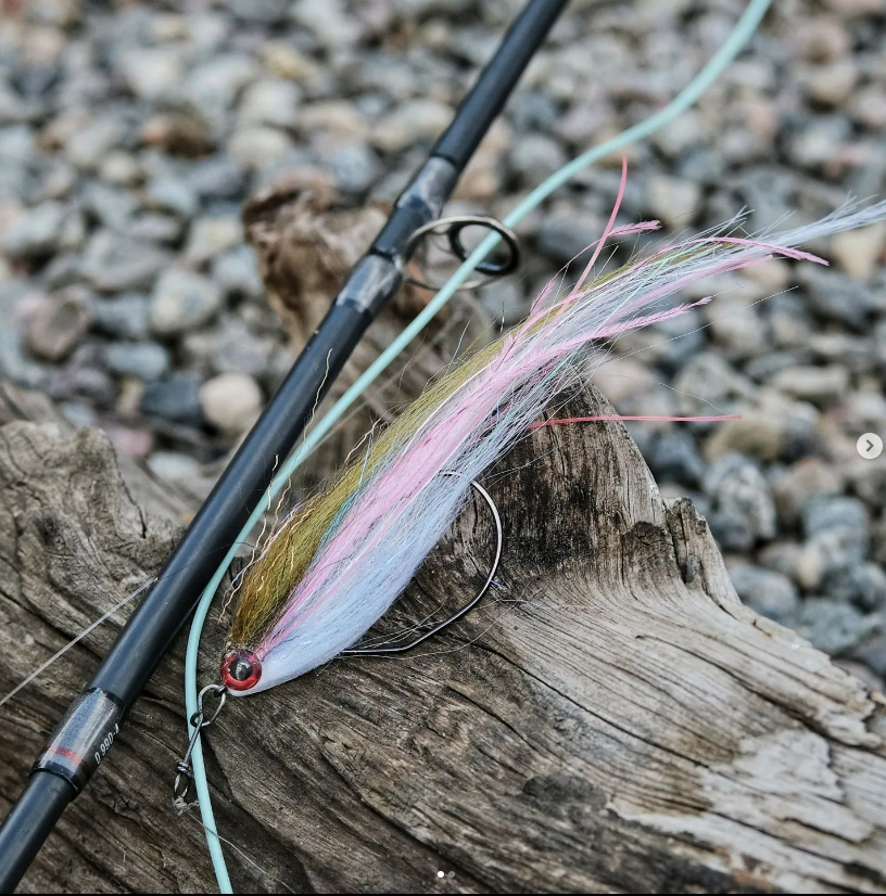 RoadTrekTV's tweet photo. Awesome Looking pattern
@hall.charlie
A predator flatwings style fly tied on a baitfish hook.🎣
#seatrout #havsöring #fish #seabass #pike #trout #troutcandy #saltwaterflyfishing #streameraddict #baitfish #flatwing #predatorflies https://t.co/4OWsbUBJFe