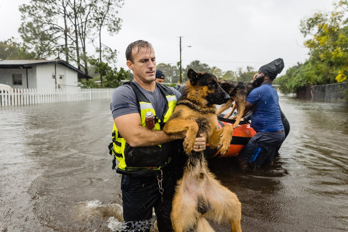 RT @LorenzoTheCat: More Hurricane Ian Heroes---Orange County Fire and Rescue. https://t.co/7ZrOKdtnv7