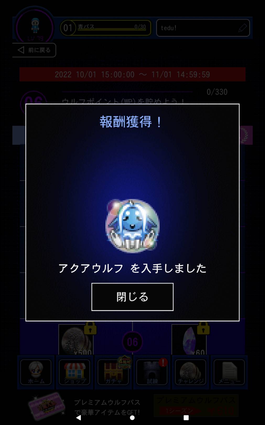 おらいさん 青鬼他 爪揃い(*´∀`)♪ エケベリア・セダム 