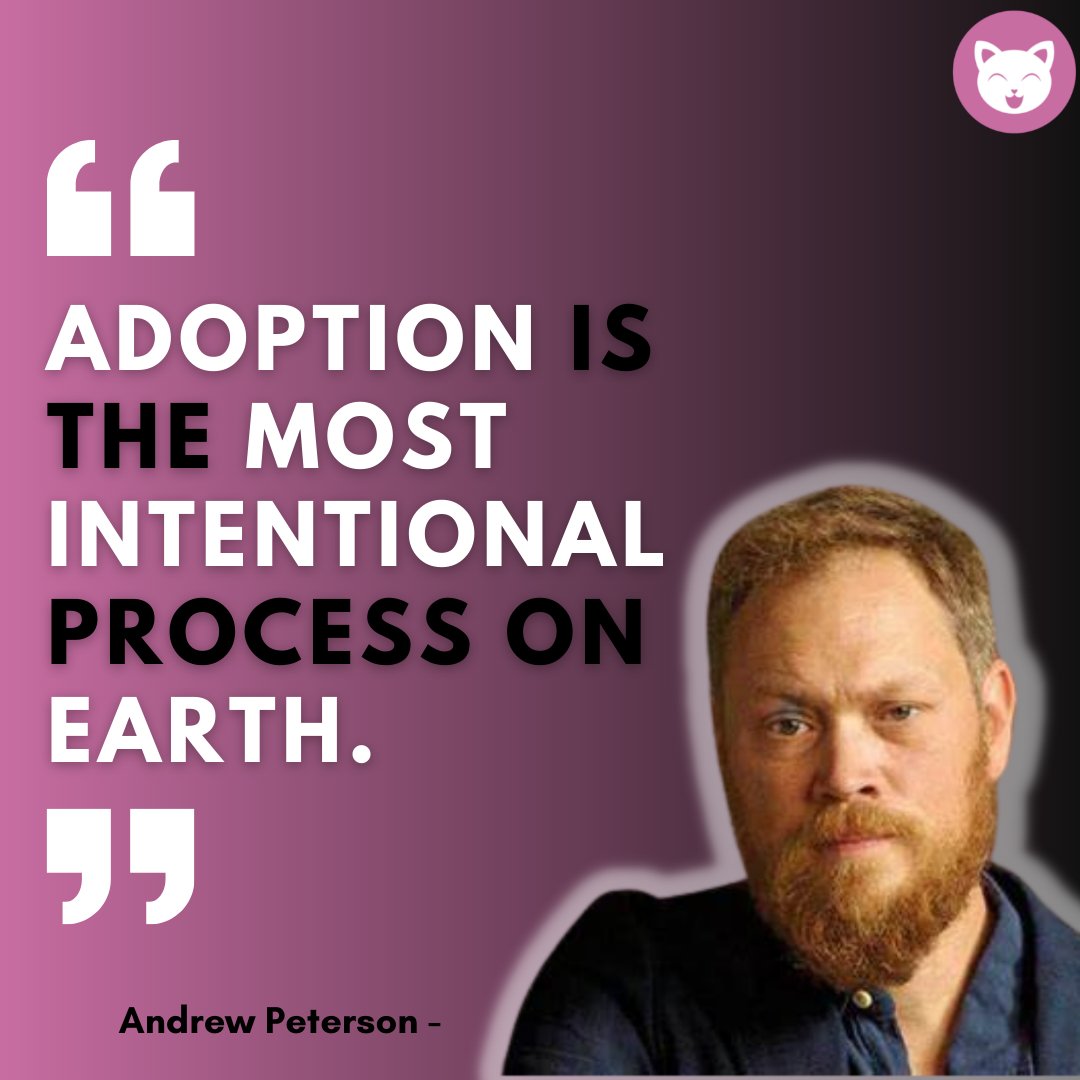 cutekittyorg's tweet photo. It’s hard to be hungry and homeless. Adopt Pets
.
.
.
.
.
.
#helpcat #catsonly #catsforever #catsforlife #catloversworld #catsarethebest #catsworld #catloversworld #cryptocurrencytrade #cryptocurrencyinvesting #cryptocurrencysolution #cryptocurrencyrevolution https://t.co/NCoz9PKngK