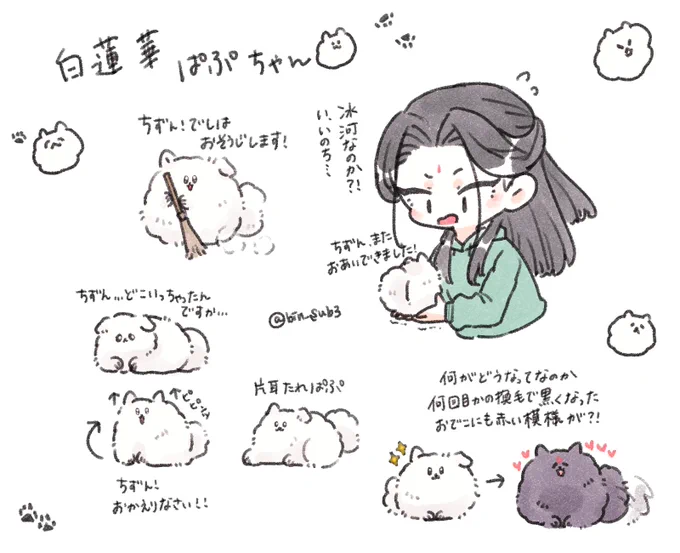 白蓮華ぱぷちゃ犬 